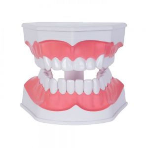 MODELO ODONTO personalizada